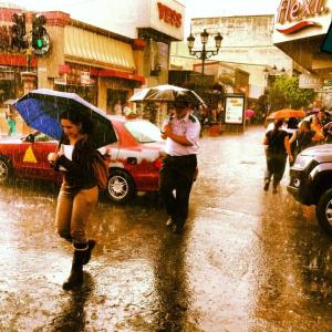 1174930_10151669837858995_746869308_n