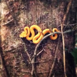 1422469_10152073274013995_1833451138_n